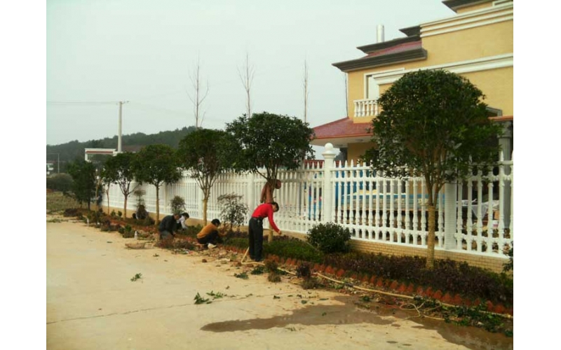 湖南華苑園林助力瀏陽賀總別墅綠化，打造美麗宜居空間