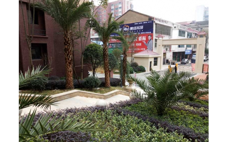 湖南華苑園林成功完成汨羅錦繡華府社區園林綠化項目